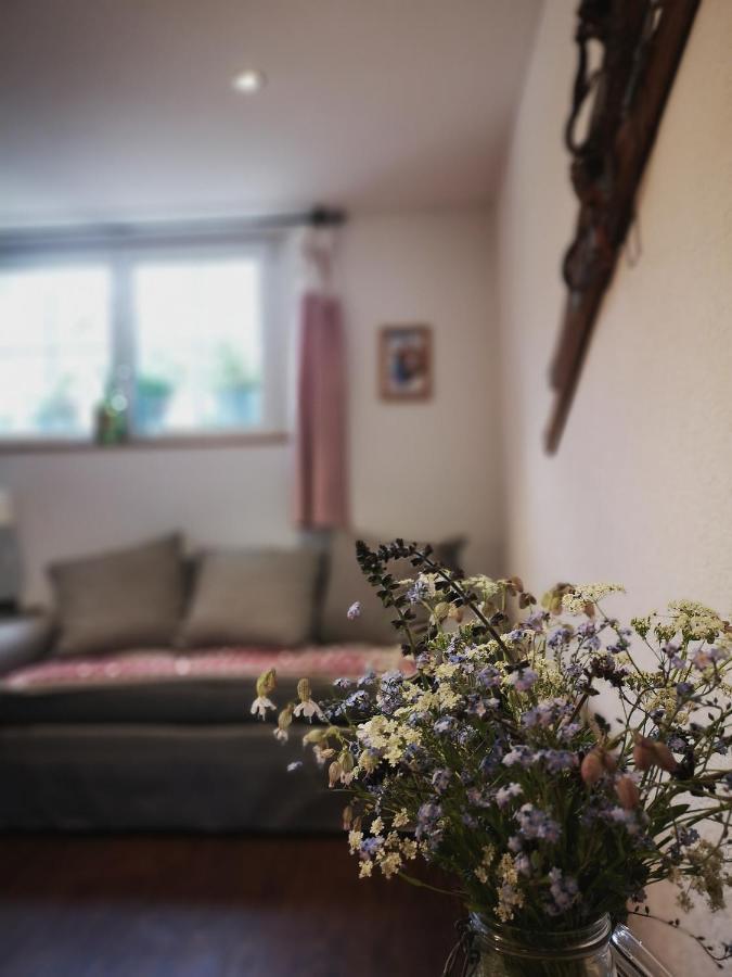 Urchige 2-Zimmerwohnung Matten  Extérieur photo